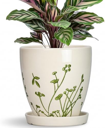 MPotTo 6 Inch Plant Pot, Ceramic Pots for Plants, Grasses White by MPotTo