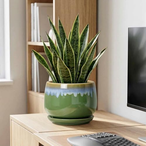 9 Inch Indoor Plant Pots - Ceramic Planters for Indoor Plants, Decorative Planter with Drainage and Saucer, Round Flower Pot, Porch Garden Office Decor, Gardening Gifts for Women, Green-Blue - Image 7