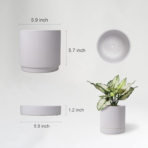 HERDUK 6 Inch Ceramic Plant Pot with Drainage & Saucer - Indoor Planter for Succulents, Cacti & Aloe Vera - Striped Design, High-Temp Fired Clay, Lightweight Modern Decor White - Image 2