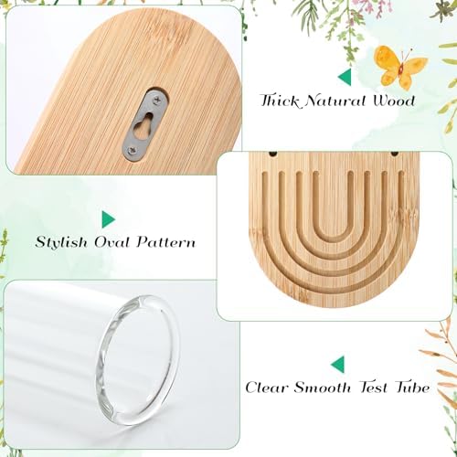 Beeveer 4 Sets Hanging Plant Propagation Stations Bamboo Wood Wall Mounted Test Tube Vase Rustic Decorative Glass Planter Holder Gift for Women Plant Lover Hydroponic Flowers Home and Office Decor - Image 3