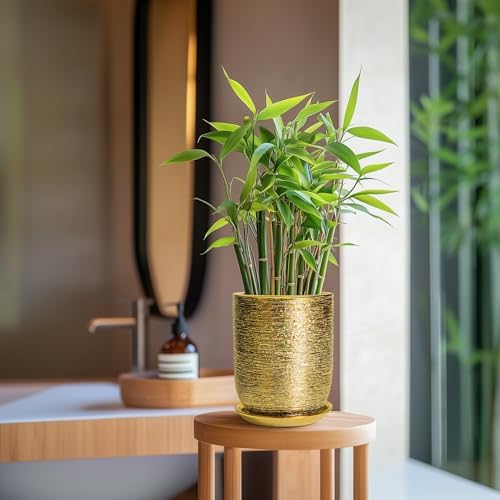 Indoor Plant Pot 8 Inch - Ceramic Planter for Indoor Outdoor Flowers, Round Modern Flower Pot with Drainage Hole and Saucer, Gifts for Plants Lovers, Garden Room Decor, Gold - Image 2