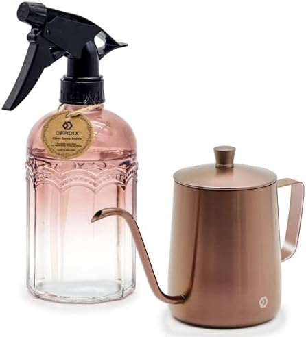 OFFIDIX Watering Can for Indoor Plants Long Spout Metal Stainless Steel 21 oz Small Watering Can with 14 oz Glass Plant Mister Spray Bottle for Plants Bonsai by Offidix
