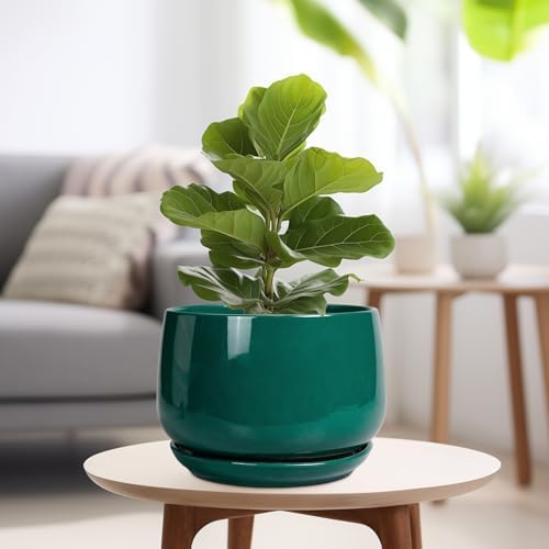 G EPGardening Ceramic Pots for Plants - 9 Inch Ceramic Planter for Indoor Plants, Round Planter with Drainage and Saucer, Modern Flower Pots for Outdoor, House Decor, Garden Gifts, Green - Image 4