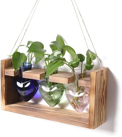 Plant Terrarium Propagation Stations Hydroponics by MTsigns