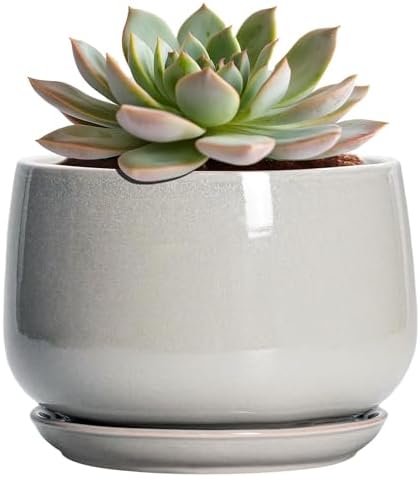 G EPGardening Ceramic Pots for Plants - 6 Inch Plant Pot with Drainage and Ceramic Tray, Modern Succulent Pots, Round Planters for Indoor Plants, Living Room Decor, Gifts for Plant Lovers, Light Grey by GEPGardening