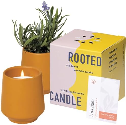Modern Sprout Soy Candle Planter - Grows Lavender - Cedarwood Scent - 6 oz by ModernSprout