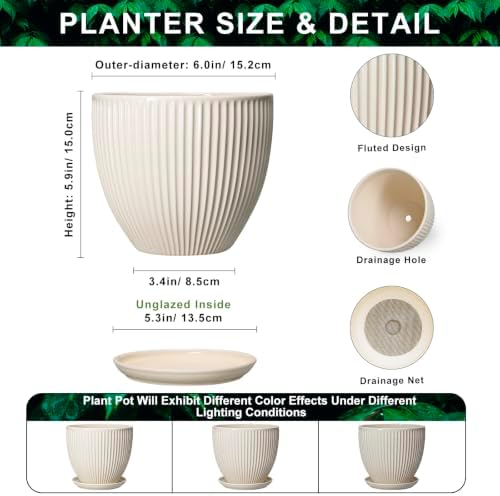 6 Inch Planter, Ceramic Pots for Plants Indoor, Decorative Plant Pots with Drainage Hole and Saucer, Round Flower Pot, Modern Small Planter, Office Decor, Gifts for Plant Lovers, Cream White - Image 2