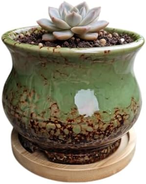Cute 3.94 Inch Ceramic Home Garden Decoration Succulent Cactus Flower Pots Container -Plant Not Included，Green by SJBAG