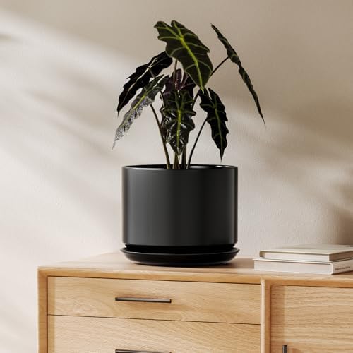 LE TAUCI Ceramic Pots for Plants, 8 Inch Plant Pot with Drainage Hole & Saucer, Modern Minimalist Planters for Indoor Plants, Round Flower Pot for Snake Plant, Monstera, Perfect for Home Decor, Black by LETAUCI