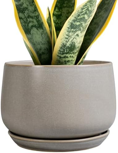 G EPGardening Ceramic Pots for Plants 7 Inch, Grey by GEPGardening
