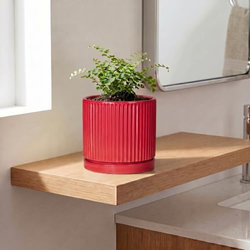 6 Inch Ceramic Plant Pots, Pots for Plants with Saucer, Red - Image 3