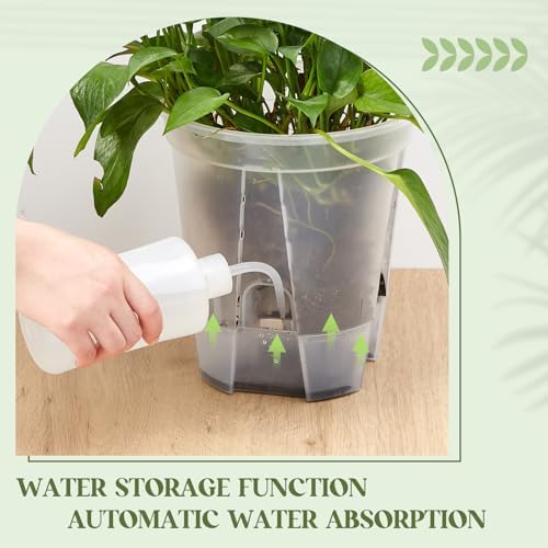 Wonderjune Self Watering Planter, 8.27'', Clear, 6 Pcs - Image 3