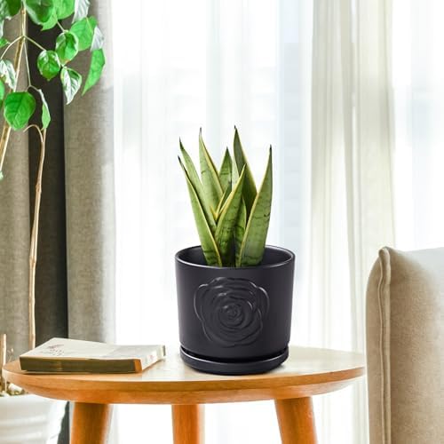 Ekirlin 7 Inch Plant Pots for Indoor Plants, Modern Ceramic Glaze Planters, Round Flower Planter Pot with Drainage Hole and Saucer, Snake Plant Pot for Succulent, Orchid, Pothos,Gift for Plant, Black - Image 7