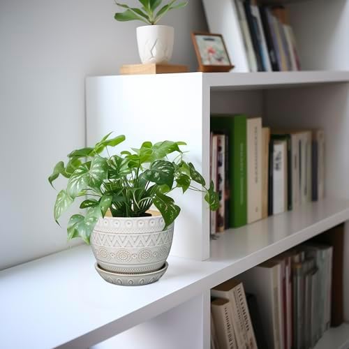 G EPGardening Ceramic Planters for Indoor Plants, 5 Inch Plant Pot, White - Image 5