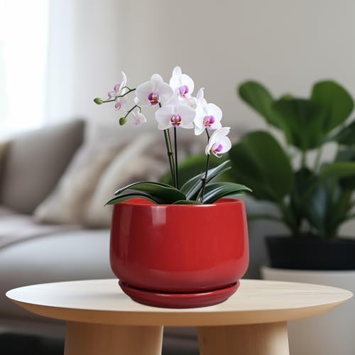 G EPGardening Ceramic Planter 7 Inch - Flower Pots for Indoor Plants, Round Planter with Drainage and Ceramic Tray, Modern Plant Pot, Bathroom Decor, Teacher Gifts, Red - Image 2
