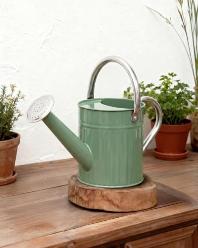 Bamworld Metal Watering Can for Indoor Outdoor Plant 1/2 Gallon Green by Bamworld