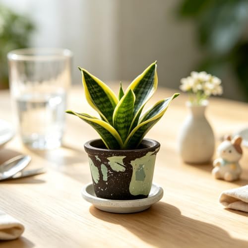 2.6 Inch Mini Ceramic Planter Pot with Drainage Hole and Saucer, Round Flower Pot for Indoor Plants, Cactus Herbs Windowsill Decor(Brown&Green) - Image 5
