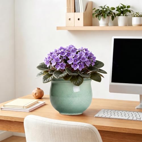 Ceramic Self Watering Planter, 8 Inch African Violet Pots, Green - Image 7