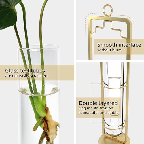 MIPON Metal Hanging Plant Propagation Station,3 Size Glass Test Tube Hydroponic Planter,Boho Wall Hanging Plant Cuttings Holder,Indoor Water Plant Terrarium Tubes for Home Office Window Decor-Gold - Image 5