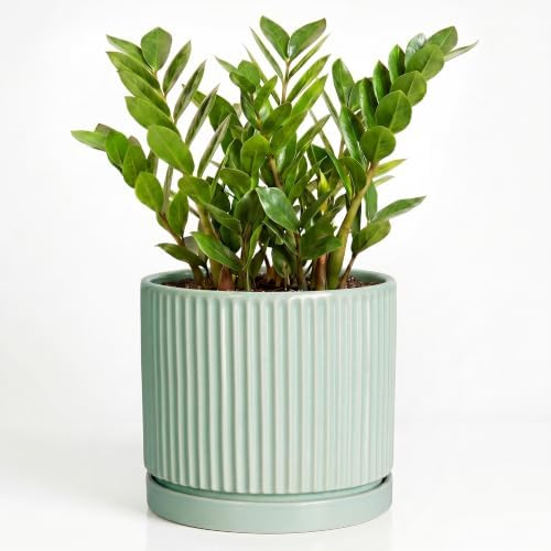 Ceramic Planter, 10 Inch Flower Pot with Saucer, Mint Green by Unknown