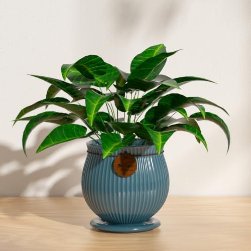 6.3 Inch Green Ceramic Planter with Drainage Hole and Saucer - Image 5
