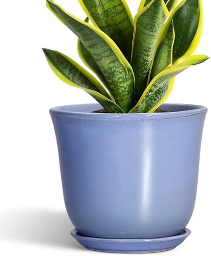 Ceramic Pots for Plants, 8 Inch Planter for Indoor, Purple-Blue by SUNPOTFOR