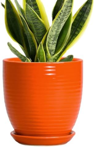 6 Inch Ceramic Plant Pots with Drainage Hole and Saucer, Orange by EPFamily