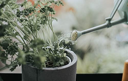 Bosmere Haws Handy Plastic Watering Can, Mini Water Can for Indoor Plants, Succulents and Flowers, Sage Green, 1 Pint - Image 5