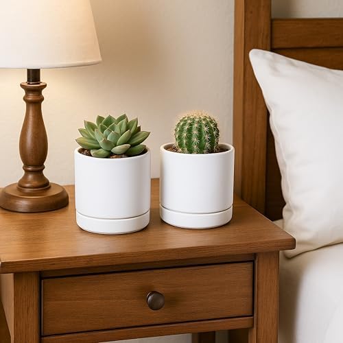 D'vine Dev 2-Pack Ceramic Pots with Saucers, White, 4.7 in, 94-V-B-1 - Image 2