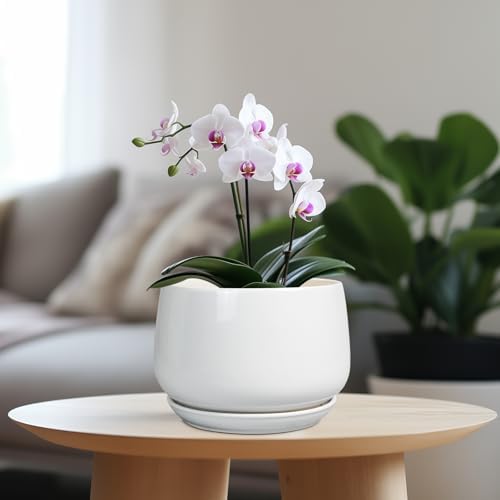 G EPGardening Ceramic Pots for Plants - 7 Inch Planter for Indoor Plants, Round Flower Pots with Drainage and Saucer, Modern Outdoor Planter, Garden Decor, Home Gifts, White - Image 2