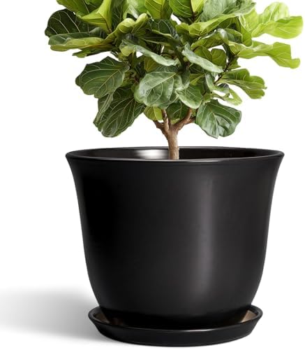 Ceramic Plant Pots - 12 Inch Plant Pot for Indoor Plants Outdoor, Large Planter with Drainage Hole and Saucer, Round Planters, Modern Flower Pot, Garden Patio Home Decor, Garden Gift, Black by SUNPOTFOR