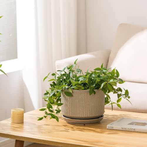 SURE YUESI Ceramic Plant Pots Set of 3, Indoor Outdoor Planters with Drainage Hole and Saucer, Ceramic Flower Pots for Indoor Plants, 4.3+5.5+6.8 Inch, Home, Garden, Patio and Office, Matte Grey - Image 4