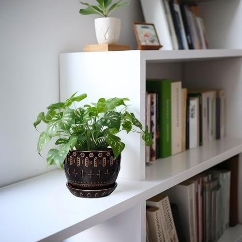 G EPGardening Ceramic Pot for Plants 5.5 Inch - Ceramic Plant Pot Indoor with Drainage Hole and Saucer, Round Boho Planter for Indoor Plants Outdoor, Housewarming Gifts, Garden Office Decor, Black - Image 5