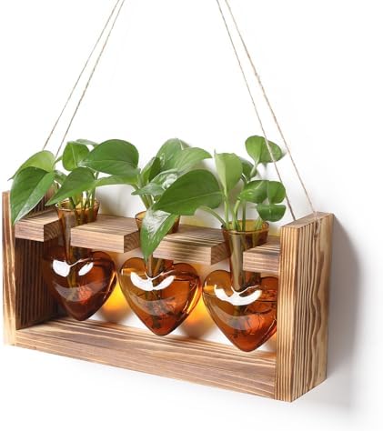 Plant Terrarium Propagation Stations Hydroponics by MTsigns