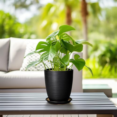 Ceramic Plant Pot - 8 Inch Ceramic Planter for Indoor Plants Glazed Round Flower Pot with Drainage Hole and Saucer Black - Image 6
