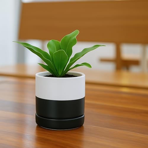 D'vine Dev 3.5 Inch Ceramic Planter Pot, Black White Two Tone, 94-O-A-L - Image 3