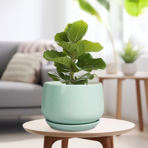 G EPGardening Ceramic Pots for Plants, 9 Inch Ceramic Planter, Green - Image 4