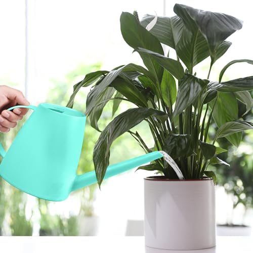 Plastic Watering Can - for Indoor and Outdoor House Plant Garden - with Long Spout - 1/2 Gallon - SkyBlue - Image 6