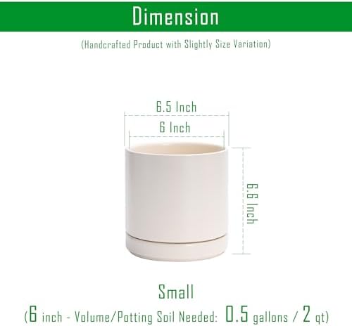 D'vine Dev 6.5 Inch Ceramic Planter Pot, Oatmeal, 94-O-C-8 - Image 3