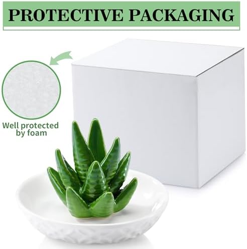 OSOPOLA Ceramic Aloe Jewelry Tray Ring Holder Dish Key Tray - Image 4
