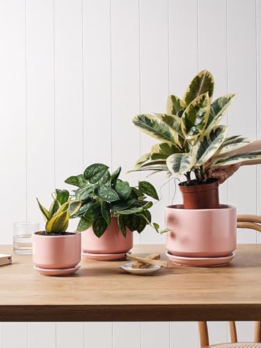 LE TAUCI Ceramic Plant Pots, 4.3+5.3+6.8 inch, Set of 3, Planters with Drainage Hole and Saucer, Indoor Flower Pot with Hole Mesh Pad, Gifts for Mom, Pink - Image 4