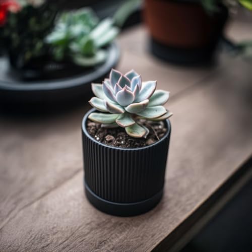 HERDUK Small Plant Pots, 4 Inch Pots for Indoor Plants, Modern Minimalist Ceramic Plant Pots with Drainage Hole & Saucer, Matte Black Set of 2 - Image 3