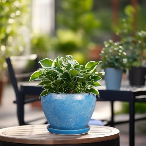 Ceramicfor 6 Inch Plant Pot - Ceramic Planter Pot with Drainage Hole and Saucer, Glaze Succulent Pot Modern Round Flower Pot for Indoor Plants, Blue - Image 5