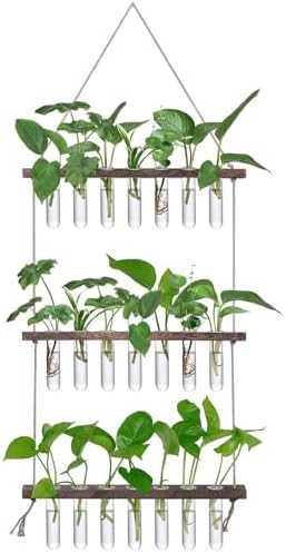 XXXFLOWER Wall Hanging Propagation Station with Wooden Stand by XXXFLOWER
