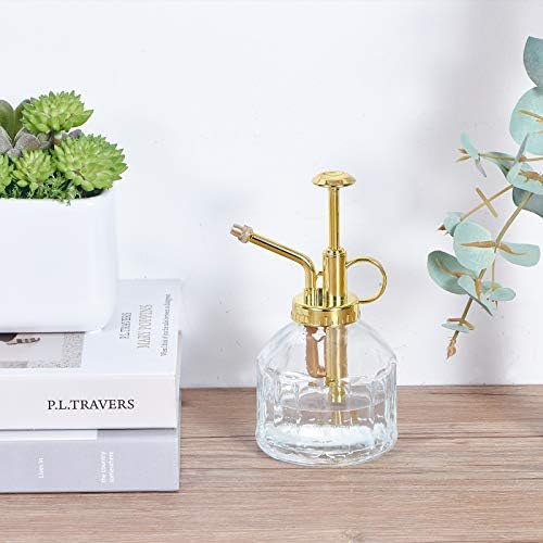Glass Plant Mister Spray Bottle, Succulent Watering Bottle with Golden Top Pump, Vintage Plant Spritzer, Decorative Water Sprayer Small Watering Can for Indoor Outdoor Houseplant - Clear - Image 7