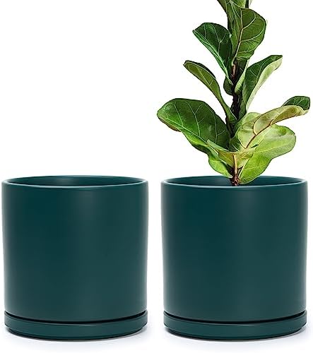 D'vine Dev 2-Pack Ceramic Pots with Saucers, Teal, 8 in, 94-V-D-9 by DvineDevPlanterPotsandStand