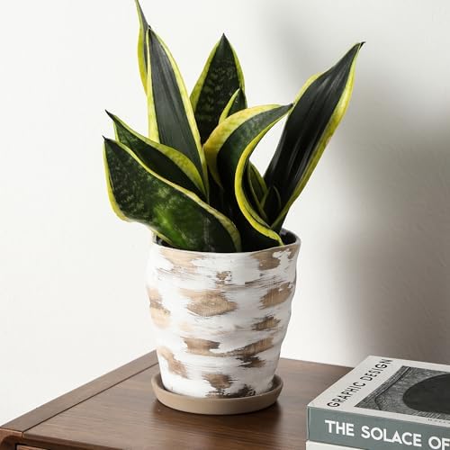 4+6 Inch Ceramic Planter Set of 2 with Drainage Hole,Saucer for Plants, Indoor-Outdoor Large Round Succulent Orchid Flower Pot- Cement Paint, Inner-pots not Larger Than 5 Inch Light Brown - Image 6