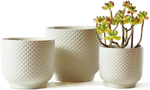 4 + 5 + 6 Inch Ceramic Pots for Indoor Plants, Succulents Plant Pots, Orchid Flower Pot with Drainage Hole, Modern Clay Stoneware Planters, Set of 3 (White, 4+5+6 Inch) by Homephyte