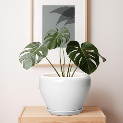 Ceramicfor Ceramic Pot for Plants - 10 Inch Planter with Drainage Hole and Saucer, Glaze Modern Round Flower Pot for Indoor Plants, Housewarming Gift, Home Decor, White - Image 7