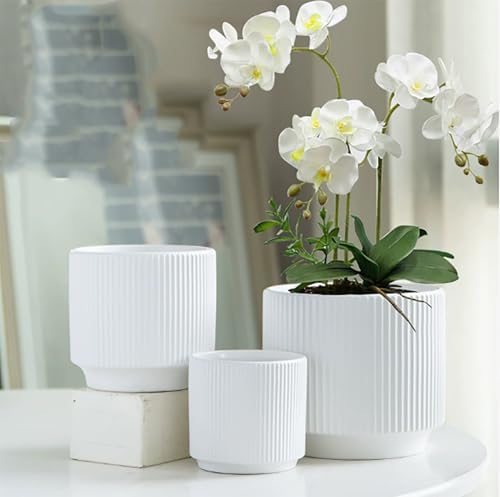 Ceramic 4.9+6.3 inch Planters, Modern Home and Office Flowerpot, Indoor and Outdoor Flowerpot with Drainage Hole (White) - Image 5